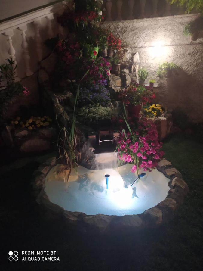 Villa Jelena เทรบินเย ภายนอก รูปภาพ